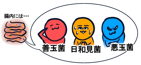 貧弱アラサー,美容,健康,女の子,ダイエット,美肌