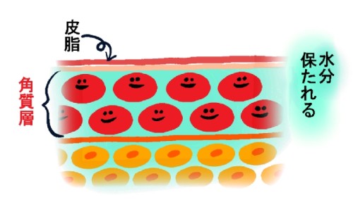 �n��A���T�[,���e,���N,���̎q,�_�C�G�b�g,����