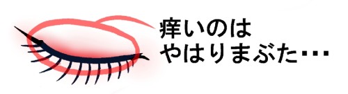 貧弱アラサー,美容,健康,女の子,ダイエット,美肌